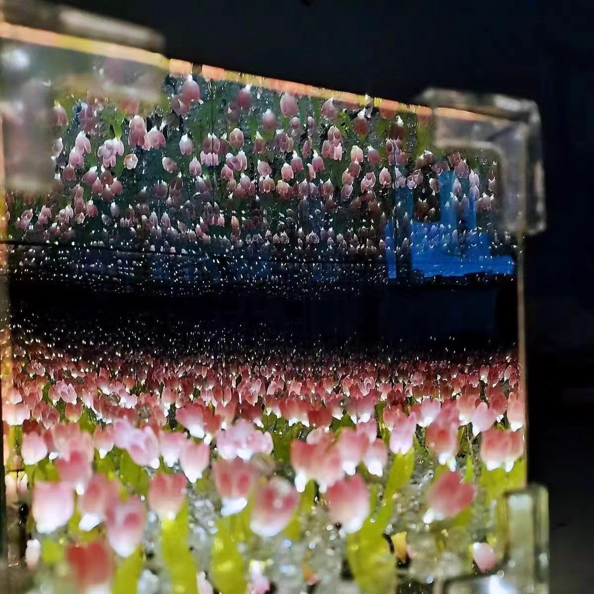 Tulips Decorative Lamp – Soft Ambient Light for Home Decor